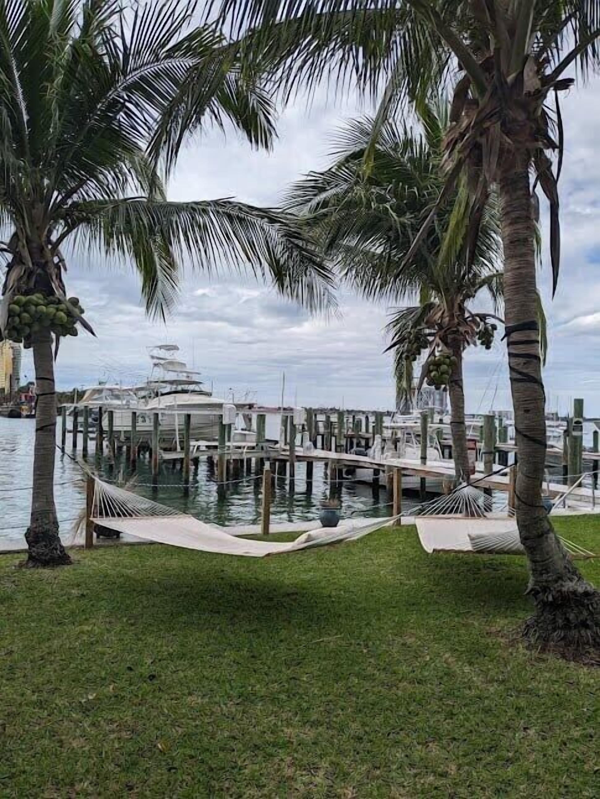 A marina with docked boats, a hammock, and palm trees.