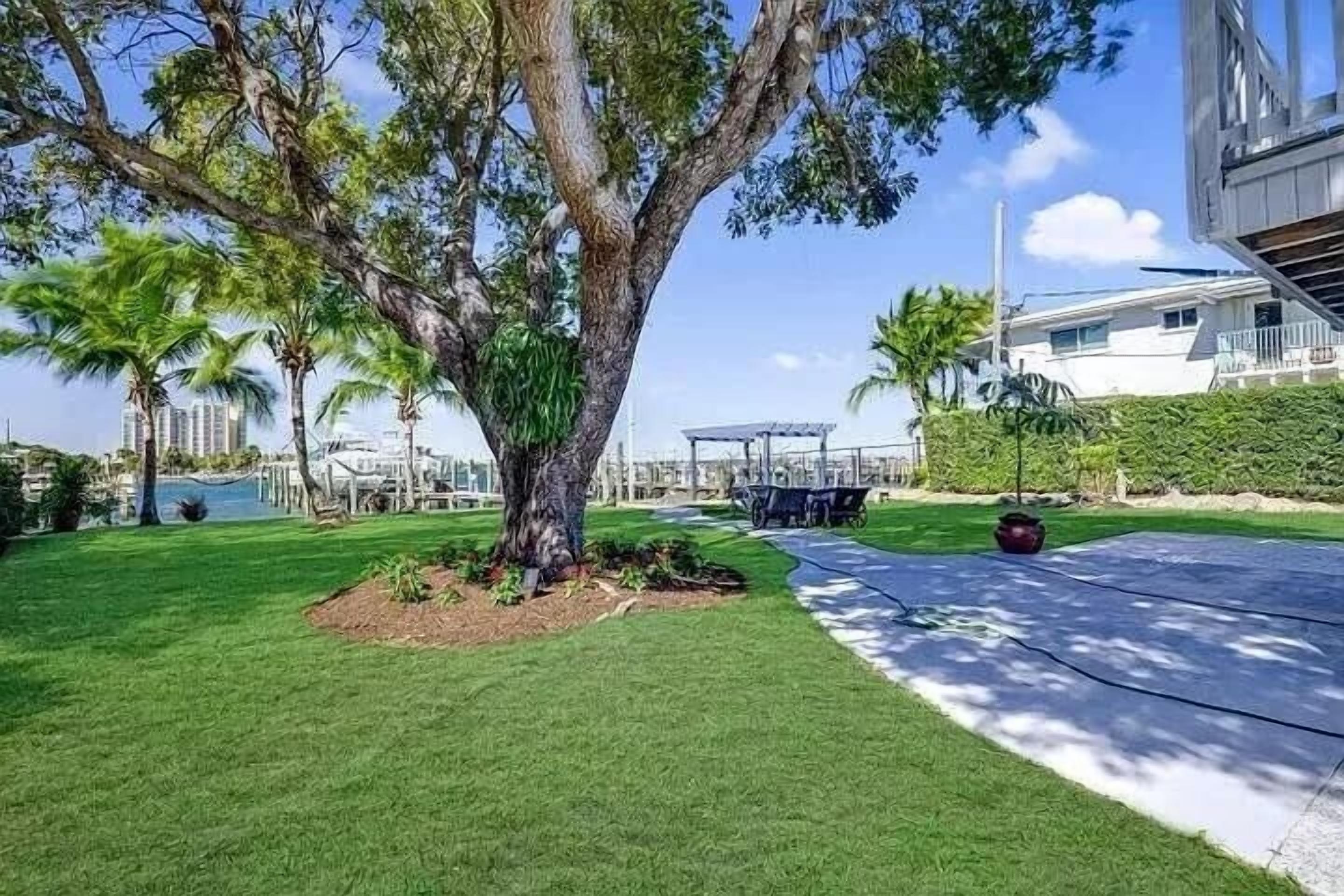 A well-maintained lawn with a large tree, a covered seating area, and a clear view of a residential building in the background.