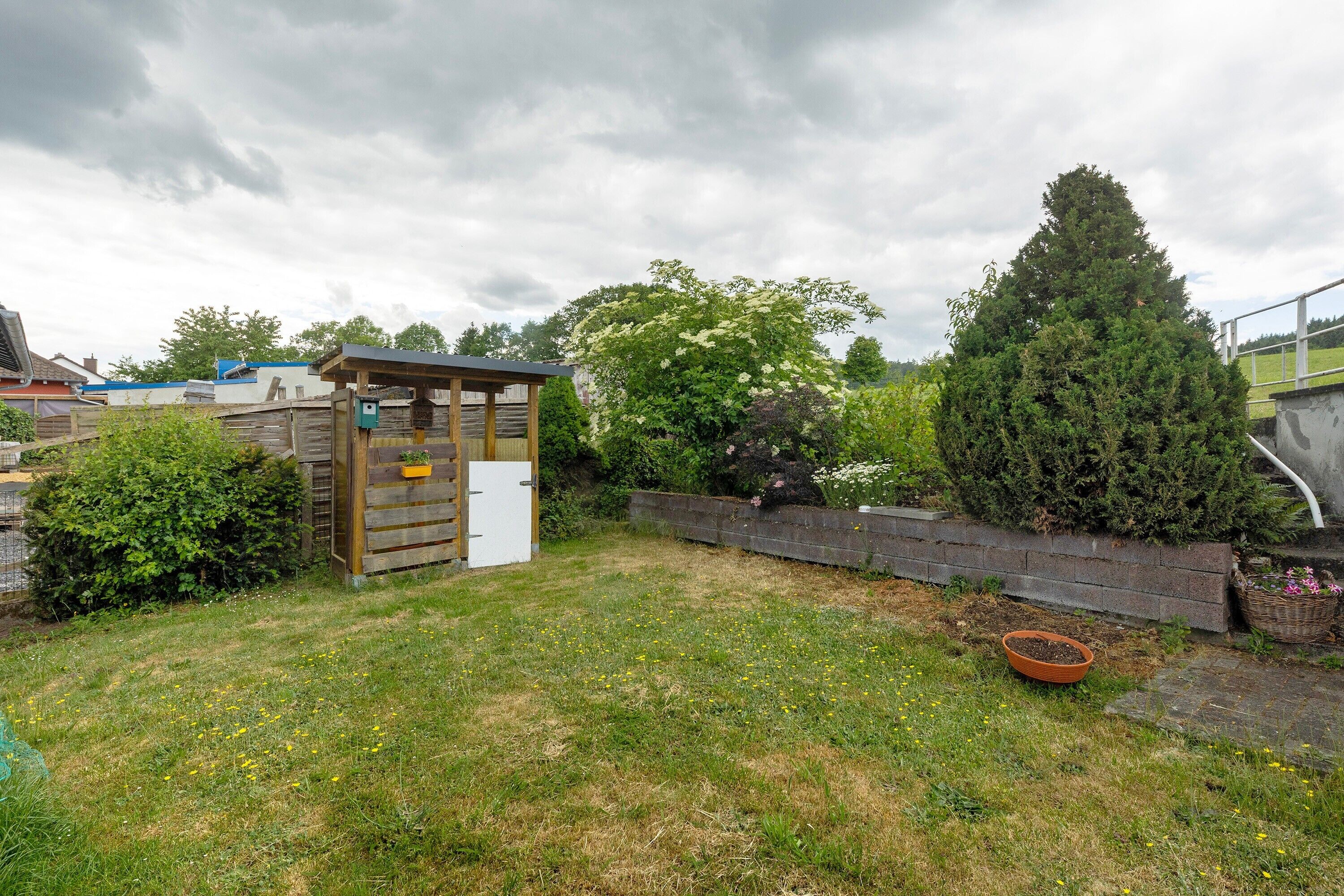 A backyard with a wooden shed, a brick wall, and a large coniferous tree.