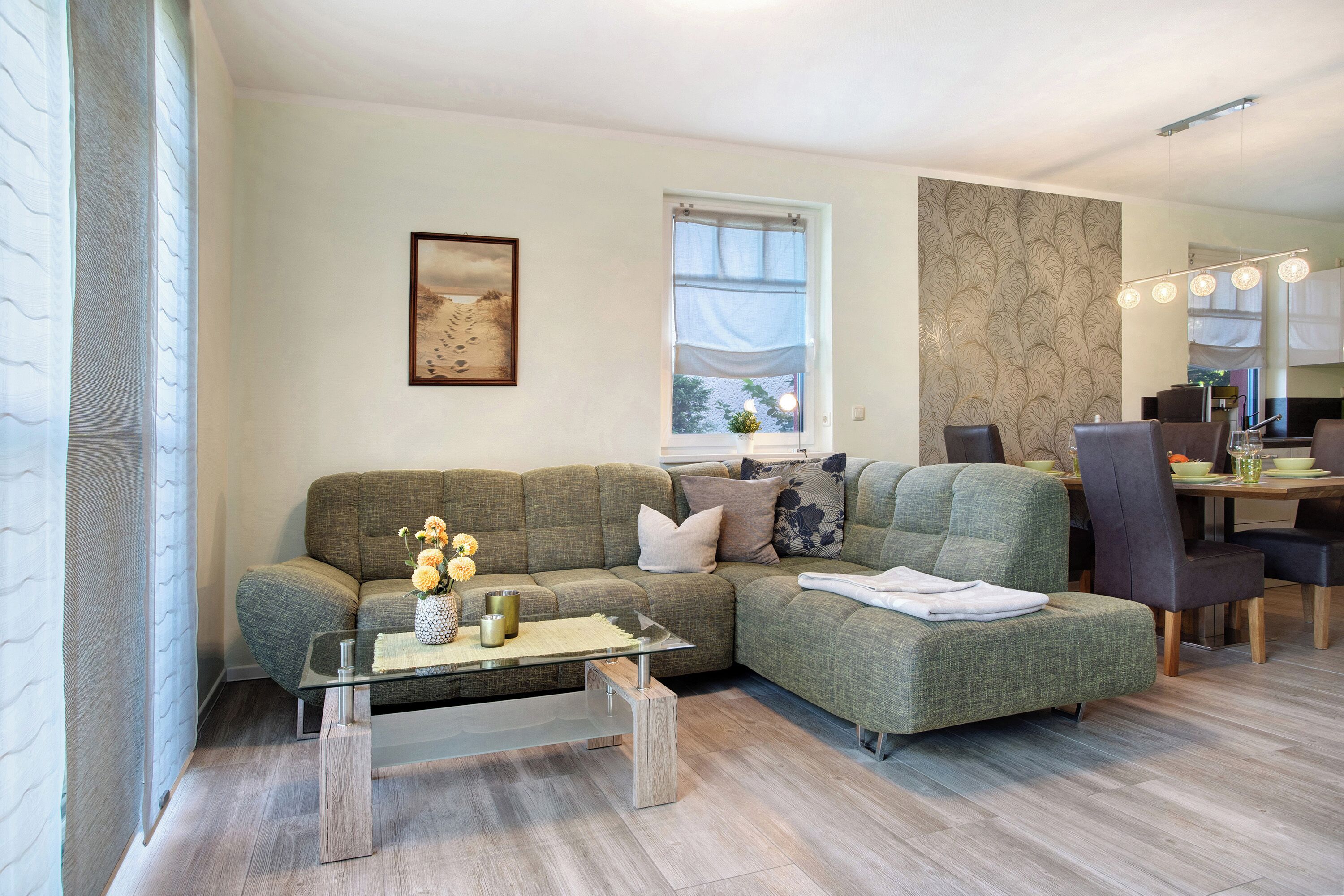 Télévision, cheminée, lecteur de DVD