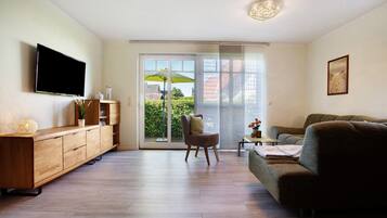 Télévision, cheminée, lecteur de DVD