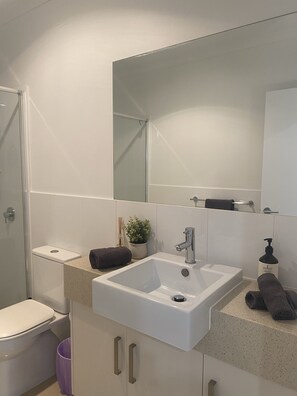 Shower, hair dryer, towels, soap