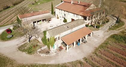 GĂźte Vert d'Olive. GĂźte de charme au milieu des vignes