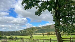 Paisaje rural con camino de tierra, valla de madera y un árbol grande.