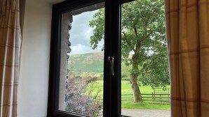 Una ventana con vistas a un paisaje verde, que incluye un árbol y una valla.