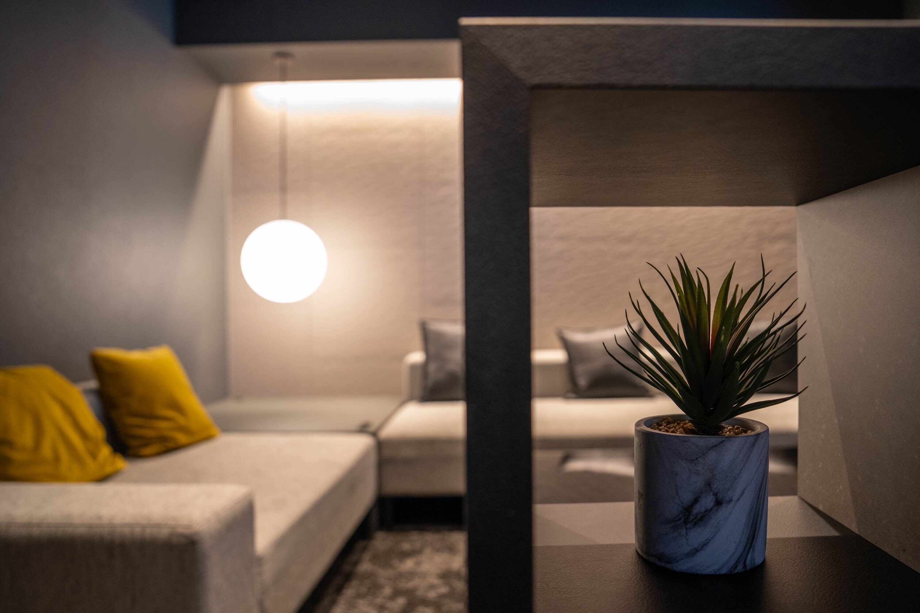 A modern room with a sofa, a potted plant, and a hanging light fixture.