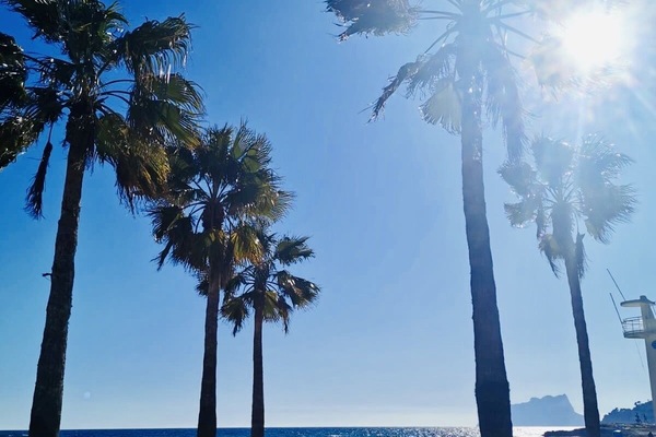 Beach