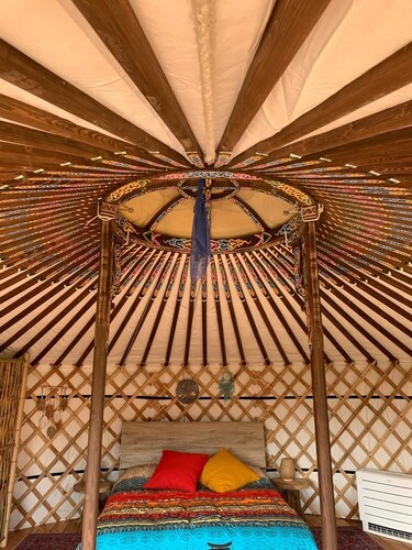 Try an experiential holiday in a real Mongolian Yurt! Amazing!