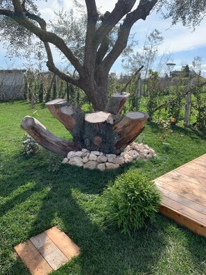 المنطقة المحيطة بالمنشأة