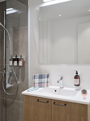 Regadera, amenidades de baño ecológicas, secadora de cabello, toallas