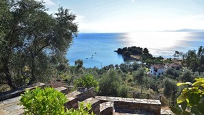 Blick auf die Küste mit Steintreppe, die zu einem Strand hinabführt, umgeben von Olivenbäumen und einigen Gebäuden.