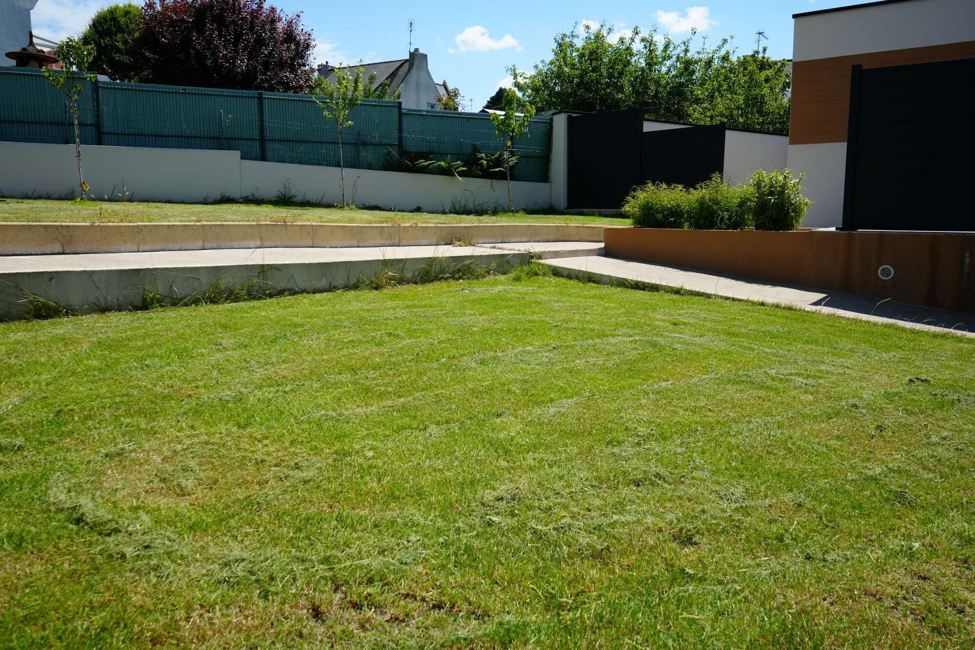 Een verzorgd gazon met een betonnen pad dat naar een modern gebouw leidt.