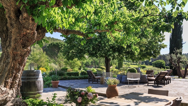 Un patio exterior con mesa y sillas de madera, rodeado de abundante vegetación y un árbol grande.