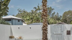 Ein eingezäunter Garten mit einer Palme, einem Schuppen und einem Haus im Hintergrund.