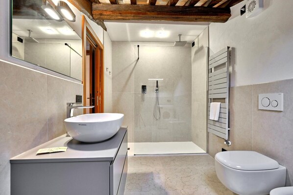 Shower, hair dryer, bidet, towels