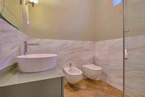 Shower, hair dryer, bidet, towels