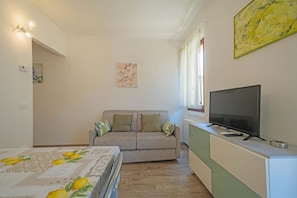 Flat-screen TV