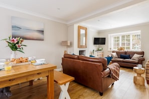 Smart TV, fireplace, books