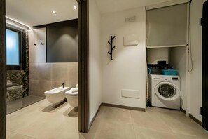 Shower, hair dryer, bidet, towels