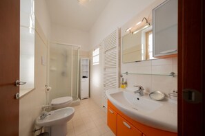 Shower, hair dryer, bidet, towels