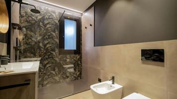 Shower, hair dryer, bidet, towels