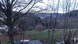 Un espacio de estar al aire libre rústico con mesas y sillas de madera, rodeado de árboles y vistas a un paisaje montañoso.