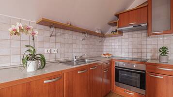 Fridge, oven, stovetop, toaster