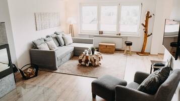 Televisión, chimenea, reproductor de DVD, libros