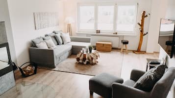 TV, fireplace, DVD player, books