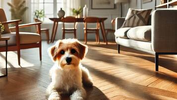 Tv, bøger, stereoanlæg