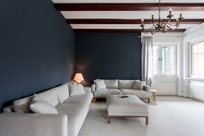 Télévision, cheminée, lecteur de DVD, chaîne hi-fi