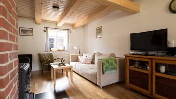 Televisión, chimenea, reproductor de DVD, libros