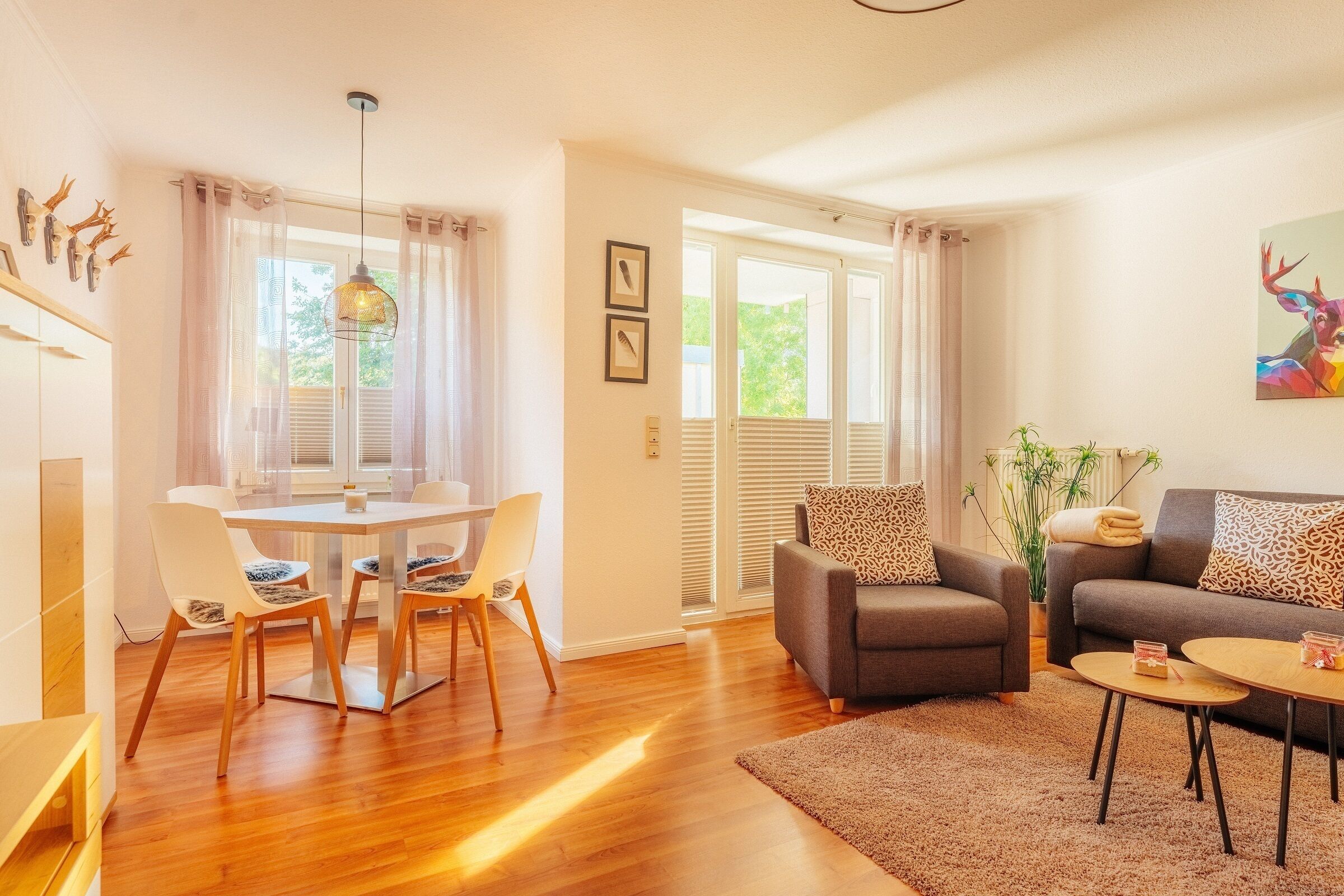 Télévision, table de tennis de table, livres