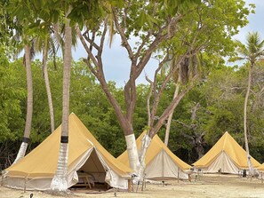 1 ห้องนอน, ห้องพักตกแต่งอย่างมีเอกลักษณ์, ตกแต่งพิเศษโดยเฉพาะ