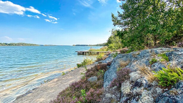 A rocky shoreline with a wooden dock extending into a calm lake, surrounded by dense greenery and trees.