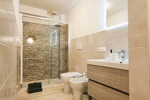 Shower, hair dryer, bidet, towels