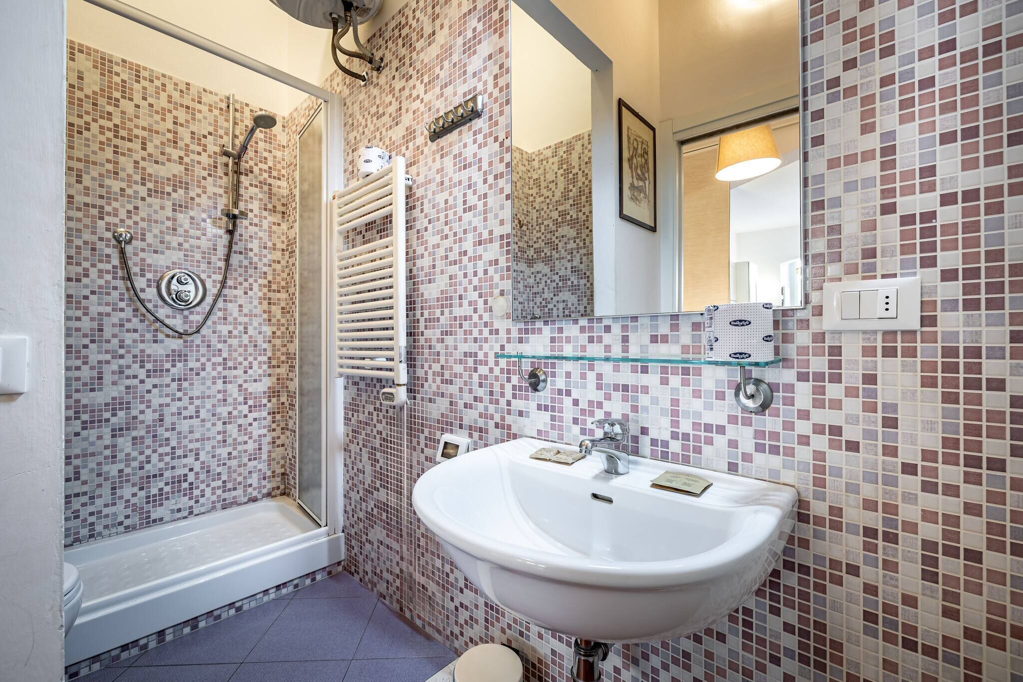 Shower, hair dryer, soap