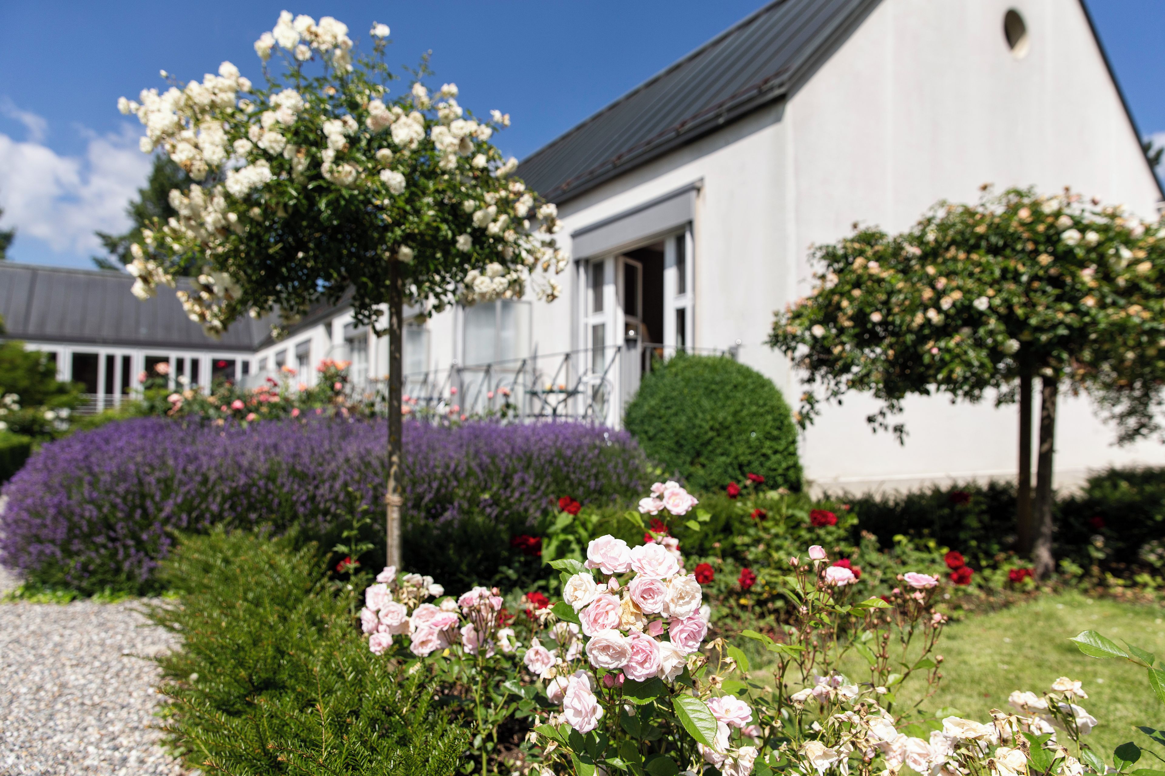 Un bâtiment blanc avec un toit gris, entouré d’un jardin où poussent différentes sortes de fleurs et d’arbustes.