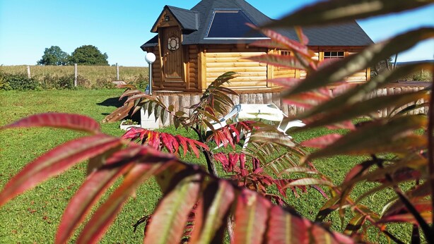 A wooden cabin with a clock, surrounded by a grassy field and some plants.