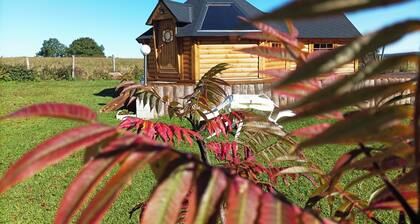 Kota 'dans les Étoiles'