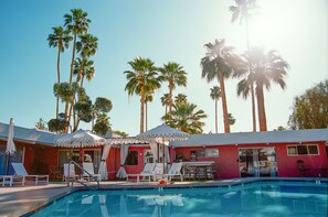 A pool area with lounge chairs and umbrellas, surrounded by tall palm trees. - The Sofia Suite · Adults-Only Palm Springs Pool (Palm Springs)