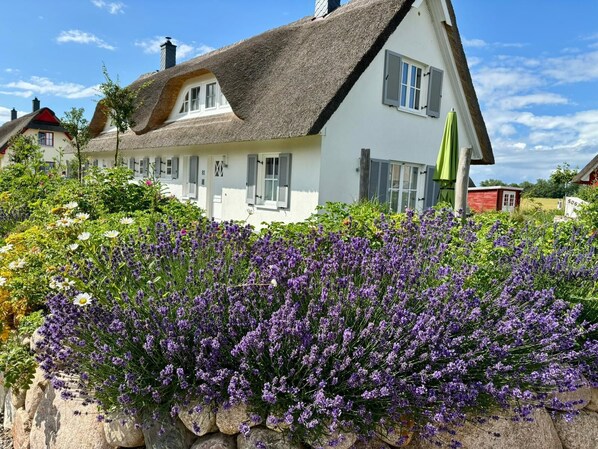 Exterior - Privatunterkunft in Zierow (Zierow)