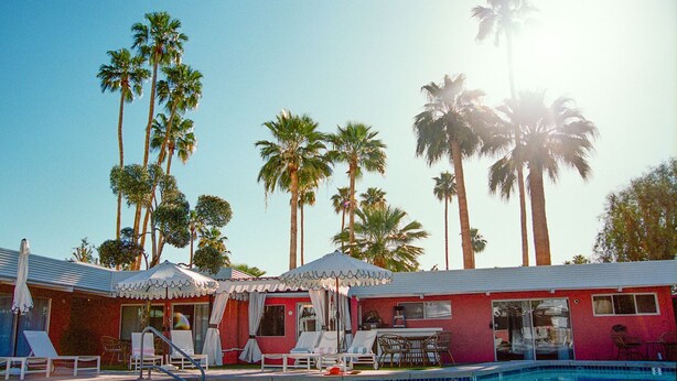 A pool area with lounge chairs and umbrellas, surrounded by tall palm trees.