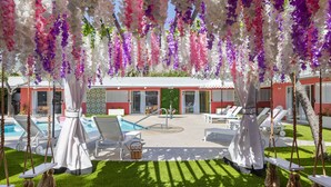 Ett område vid poolen med vita solstolar, en liten pool och hängande blomsterdekorationer.
