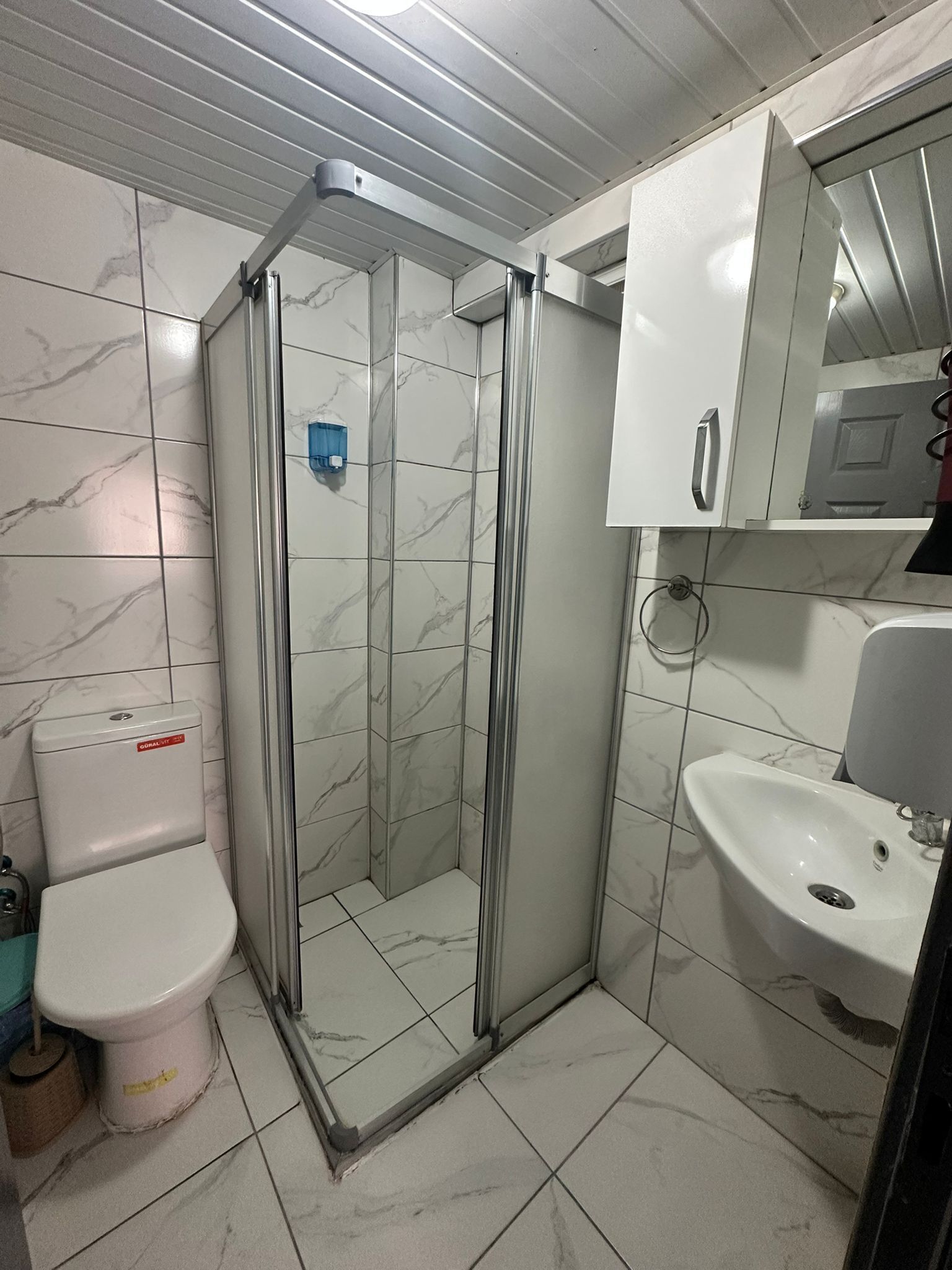 A bathroom with a glass-enclosed shower, a toilet, and a sink.