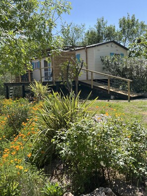 Property grounds - Bungalow Bleu (Roquebrune-sur-Argens)
