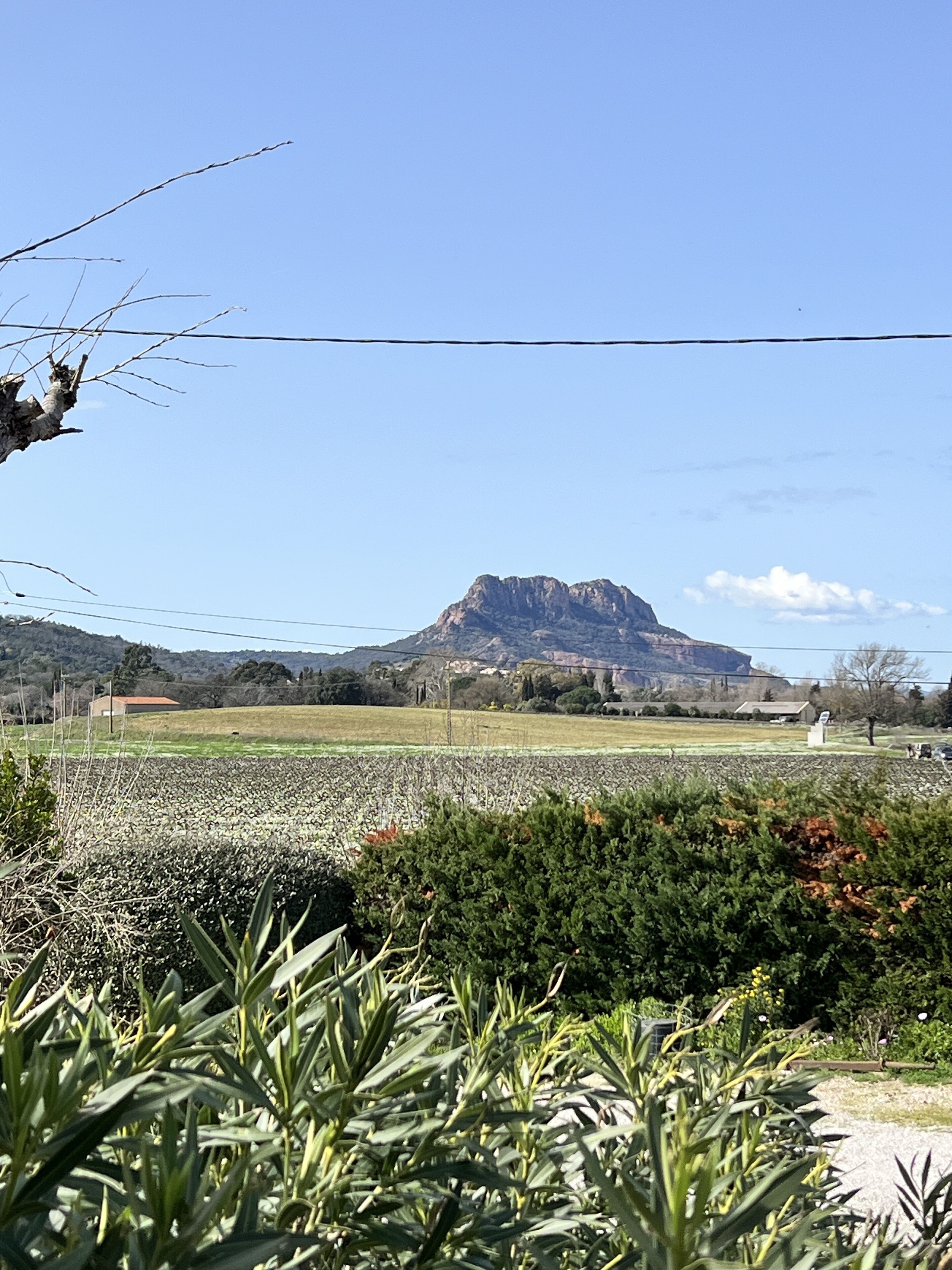 A rural landscape with a mountain in the background, fields, and some vegetation in the foreground.