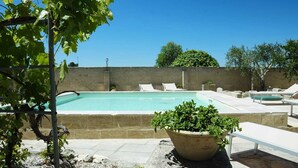 A swimming pool with lounge chairs and a potted plant in the foreground.