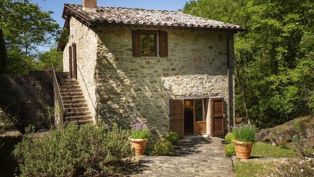Una casa de piedra con tejado de tejas, una escalera de madera y un pequeño jardín con plantas en macetas.