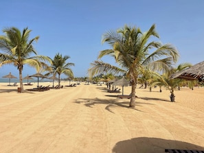 Une plage bordée de palmiers, avec des chaises longues et des parasols en chaume.